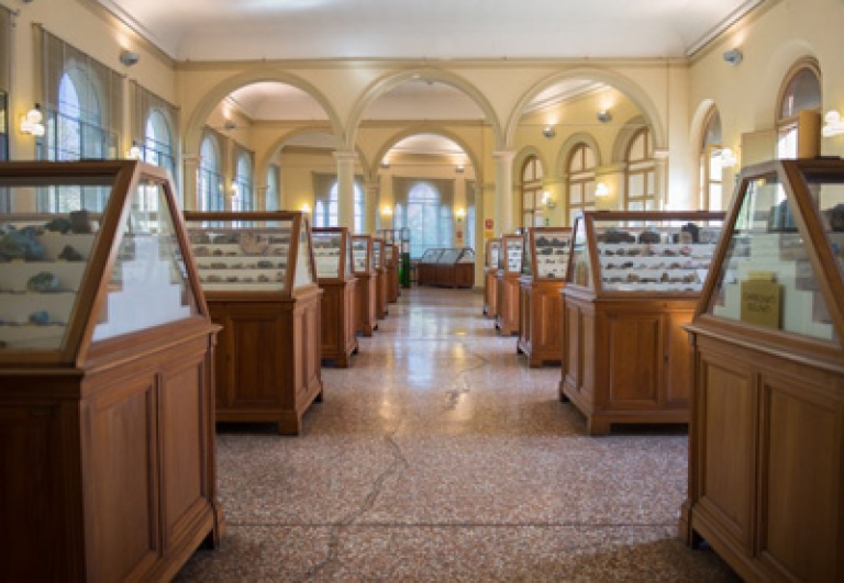 MINERALI-COLLEZIONE-VISITA-GUIDATA-GUIDADIBOLOGNA