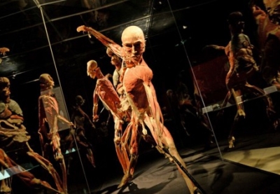 Body Worlds