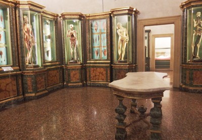 musei-bologna-appuntamenti