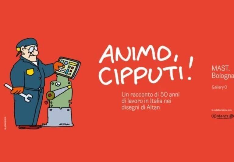 animocipputi