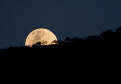 superluna-2019-bologna-guida-turistica