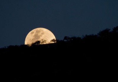 superluna-2019-bologna-guida-turistica